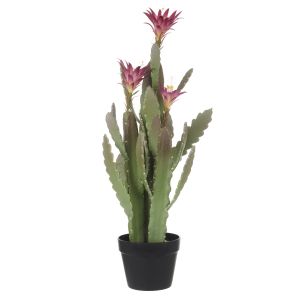 Rogue Flowering Cactus Green 26x26x78.7cm