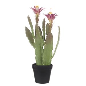 Rogue Flowering Cactus Green 23x22.9x47cm
