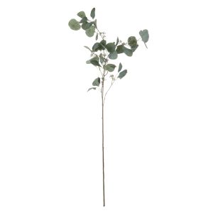 Rogue Eucalyptus Seeded Spray Green 20.3x20.3x100cm