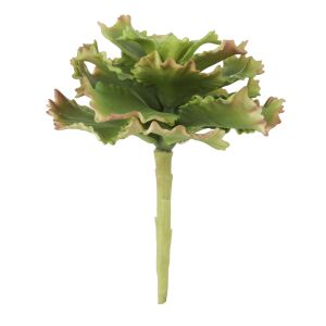 Rogue Cabbage Succulent Green 14x14x17cm