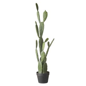 Rogue Pear Cactus Green 36x21x107cm