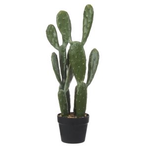 Rogue Pear Cactus Green 35x21x64cm