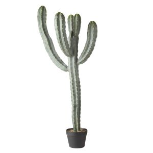Rogue Saguaro Cactus Green 45x30x123cm