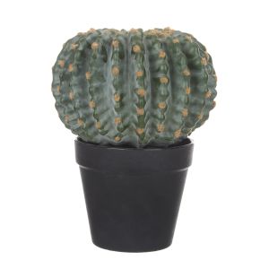 Rogue Barrel Cactus Green 17x16x26cm