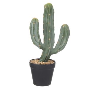 Rogue Saguaro Cactus Green 19x13x39cm