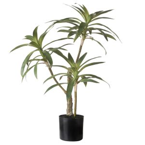 Rogue Dracaena Plant Green 64x51x51cm