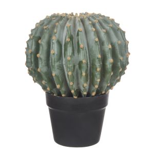 Rogue Barrel Cactus Green 28x27x35cm