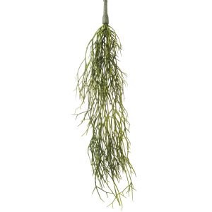 Rogue Mistletoe Cactus Hanging Green 61x20.3x5.1cm