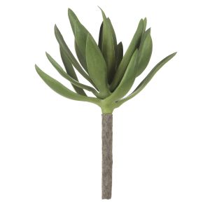 Rogue Agave Green 24.1x15.2x15.2cm