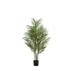 Rogue
Black Label Phoenix Palm-Garden Pot Green 51x51x122cm