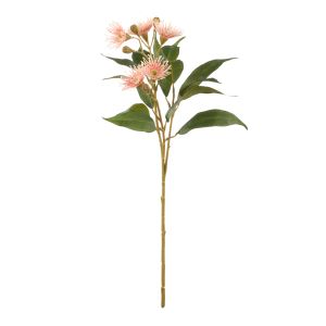 Rogue Eucalyptus Flower Spray Pink 31x22x62cm