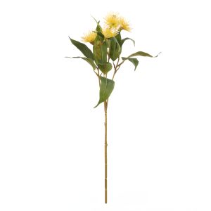 Rogue Eucalyptus Flower Spray Yellow 31x22x62cm