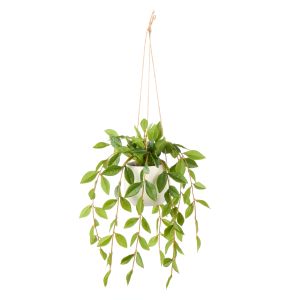 Rogue Lush Leaf Hanging Pot Green 11x11x36cm