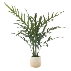 Rogue Blue Star Fern Pot Green 46x46x81cm