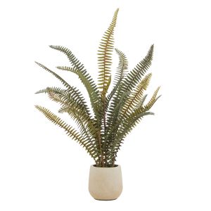 Rogue Boston Fern Pot Green 23x23x46cm