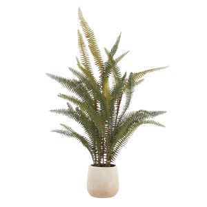 Rogue Boston Fern Pot Green 36x36x71cm