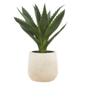 Rogue Aloe Pot Green 15x15x23cm