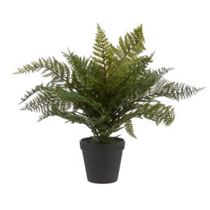 Rogue Leatherleaf Fern Green 33x33x41cm