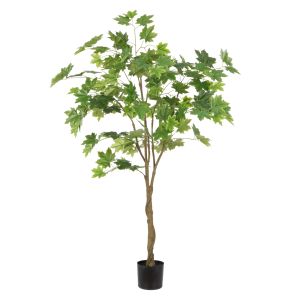 Rogue Maple Tree Green 50x50x120cm