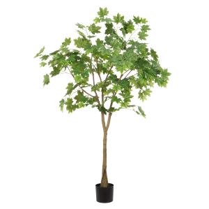 Rogue Maple Tree Green 55x55x150cm