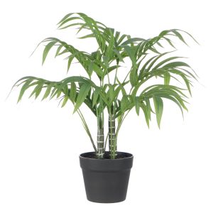 Rogue Cascade Palm Green 61x61x51cm