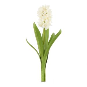 Rogue Hyacinth with Leaves Stem White 15x15x33cm