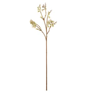 Rogue Kangaroo Paw Spray Green 62x18x16cm