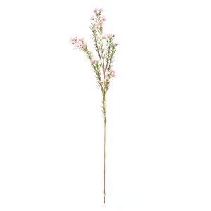 Rogue Wax Flower Spray Pink 60x8x12cm