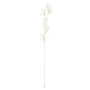 Rogue Sweet Pea Spray Cream 64x5x8cm