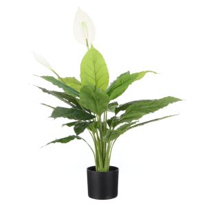 Rogue Peace Lily Green 50x50x95cm