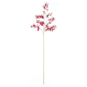 Rogue Dendrobium Orchid Stem Burgundy 20x20x104cm