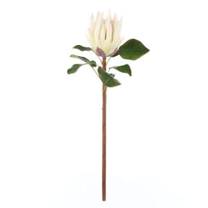 Rogue King Protea White 28x28x60cm