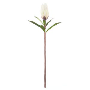 Rogue Protea Stem White 18x18x61cm