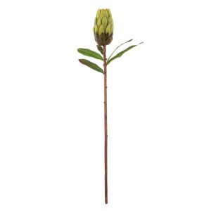 Rogue Protea Stem Green 18x18x61cm