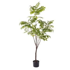 Rogue Wisteria Tree - Garden Pot Green 68x65x150cm