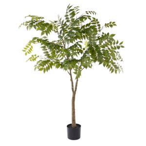 Rogue Wisteria Tree - Garden Pot Green 75x75x168cm