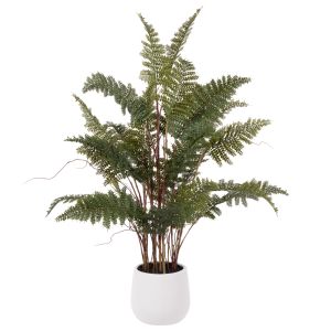 Rogue Mountain Wood Fern Pot Green 48x48x84cm