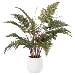 Rogue Mountain Wood Fern Pot Green 41x41x56cm