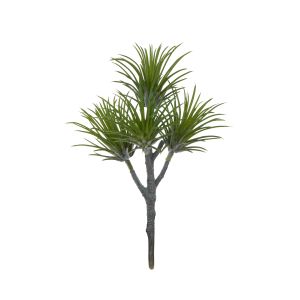 Rogue Air Plant Spray Green 13x13x22cm