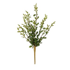 Rogue Jelly Bean Spray Green 28x10x5cm