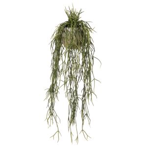 Rogue Mistletoe Cactus Pot Green 64x20x17cm