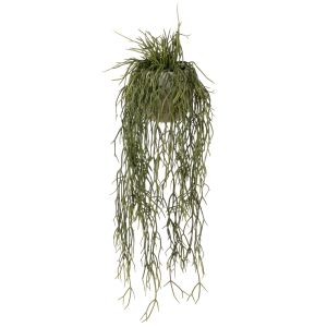 Rogue Mistletoe Cactus Pot Green 11x23x61cm