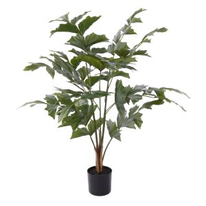 Rogue Caryota Palm Tree - Garden Pot Green 55x55x90cm