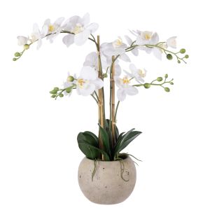 Rogue Phalaenopsis Orchid Pot White 48x44x61cm