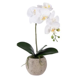 Rogue Phalaenopsis Orchid Pot White 22x15x48cm