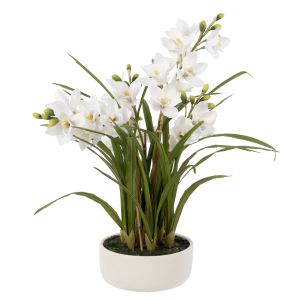 Rogue Cymbidium Orchid Pot White 64x56x85cm