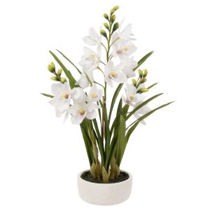 Rogue Cymbidium Orchid Pot White 42x42x74cm