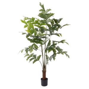 Rogue Caryota Palm Tree - Garden Pot Green 60x60x120cm