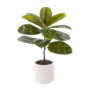 Rogue Rubber Tree Pot Green 40x40x66cm