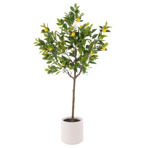 Rogue Lemon Tree Potted Green 58x57x160cm